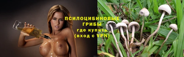 винт Бугульма