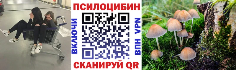 Псилоцибиновые грибы Magic Shrooms  Купить закладки  Макушино 