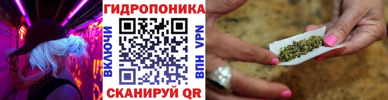 Конопля MAZAR  Купить закладки  Макушино 